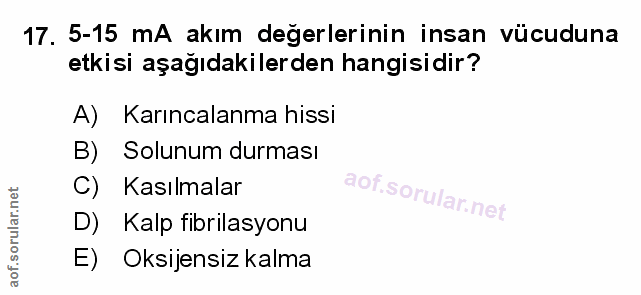 Soru 17