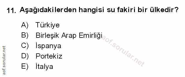 Soru 11