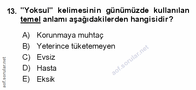 Soru 13