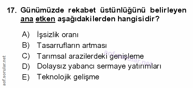 Soru 17