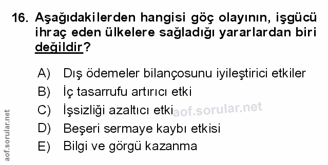Soru 16