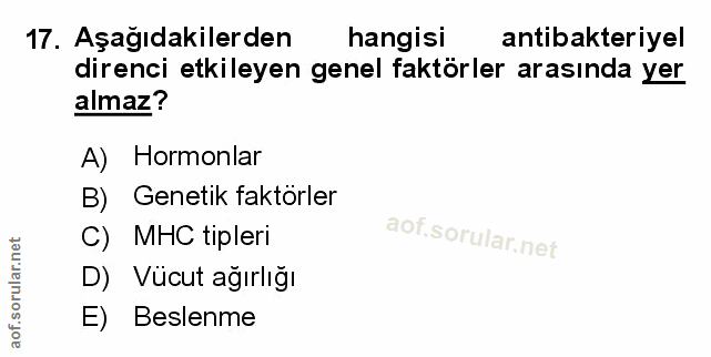 Soru 17