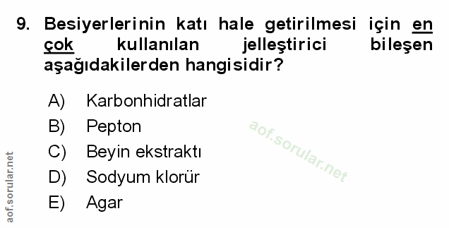 Soru 9