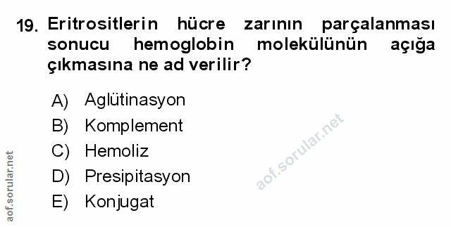 Soru 19
