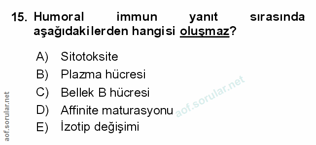 Soru 15