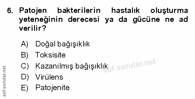 Soru 6