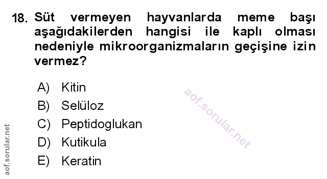 Soru 18