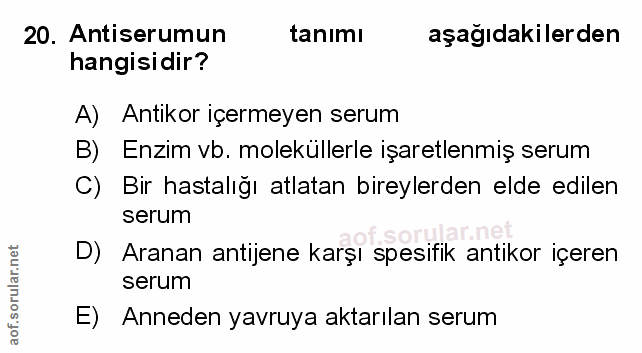 Soru 20