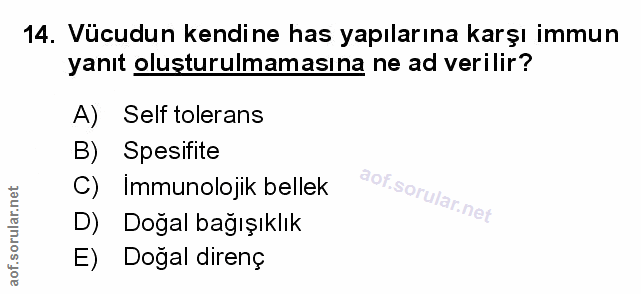 Soru 14