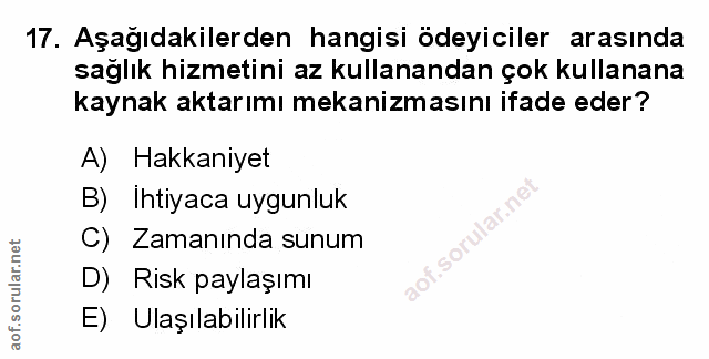 Soru 17