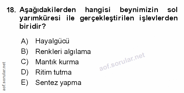 Soru 18