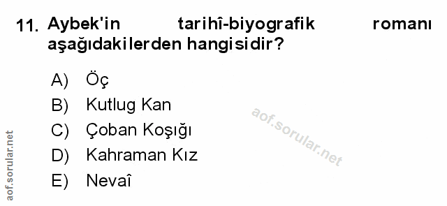Soru 11