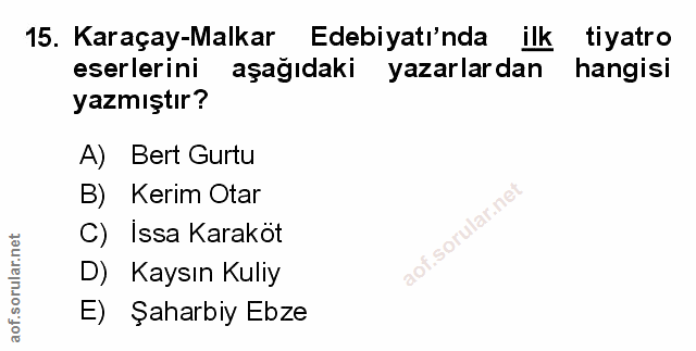 Soru 15
