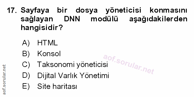 Soru 17