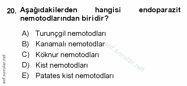 Soru 20
