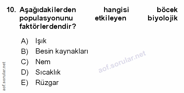 Soru 10