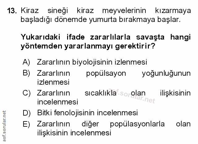 Soru 13
