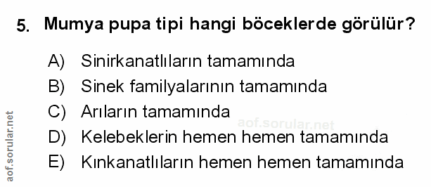 Soru 5