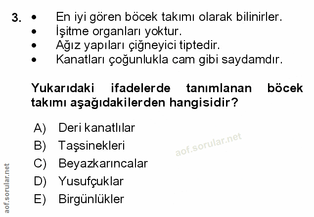 Soru 3