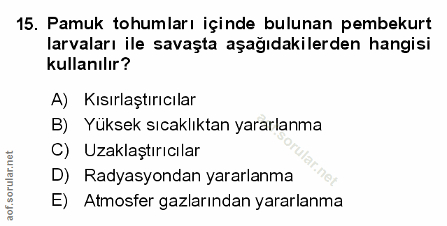 Soru 15
