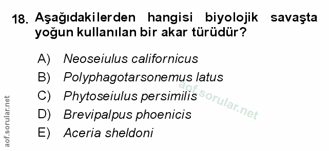 Soru 18