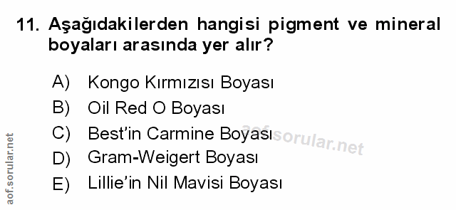 Soru 11