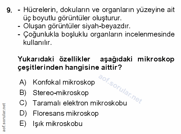 Soru 9