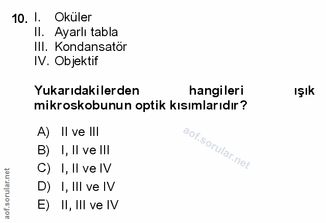 Soru 10