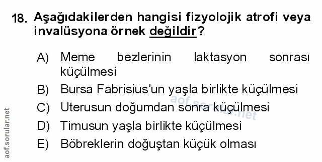 Soru 18