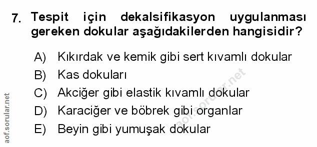 Soru 7