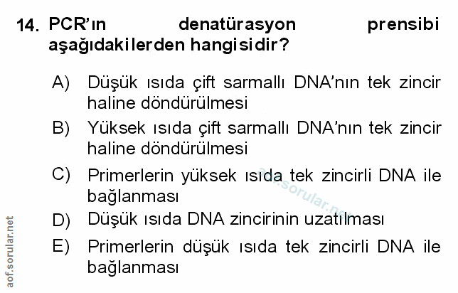 Soru 14