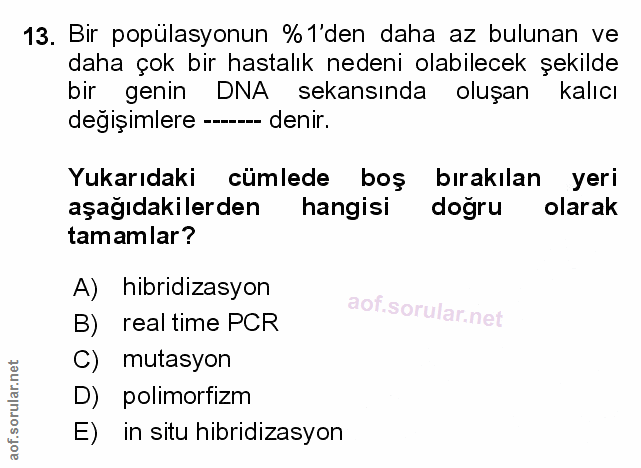 Soru 13
