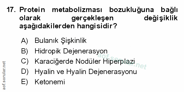 Soru 17