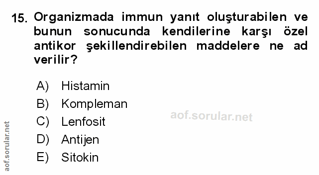 Soru 15