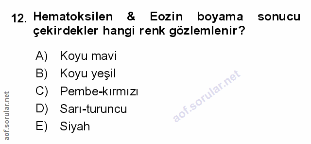 Soru 12