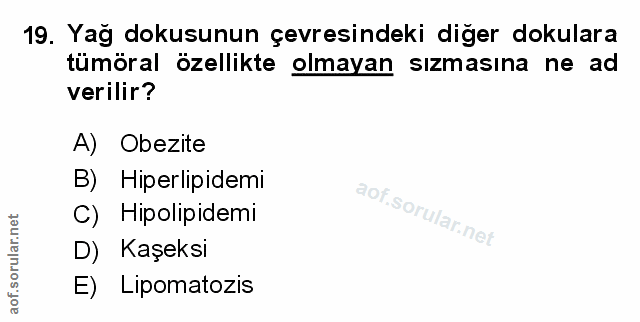 Soru 19