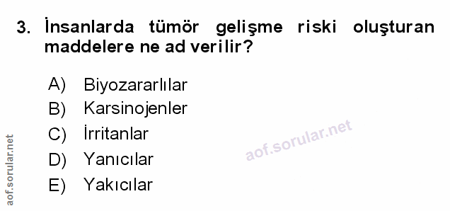 Soru 3
