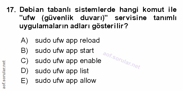 Soru 17