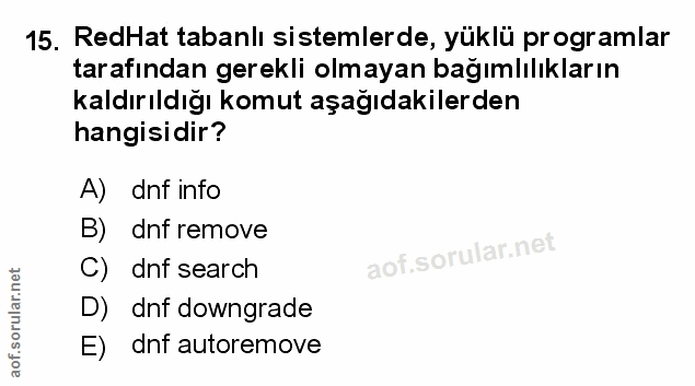 Soru 15