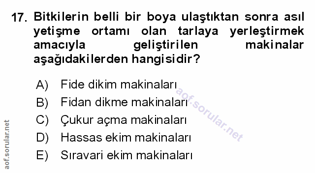 Soru 17