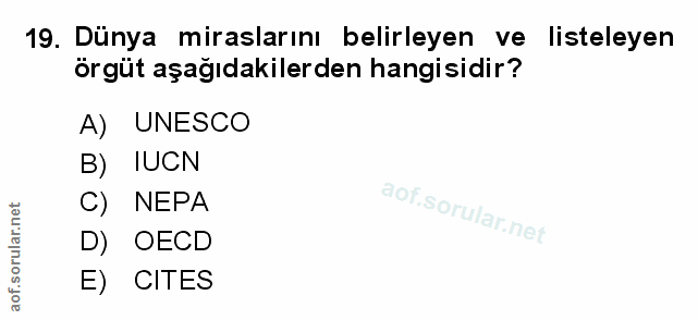 Soru 19