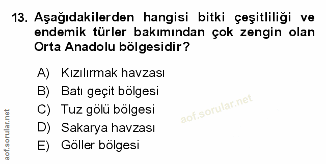 Soru 13