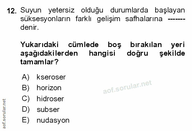 Soru 12