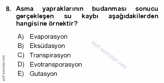 Soru 8