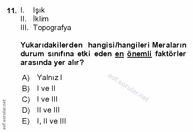 Soru 11