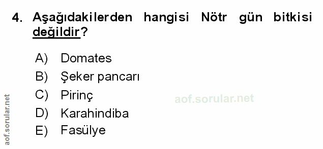 Soru 4