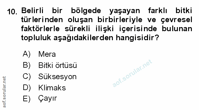 Soru 10