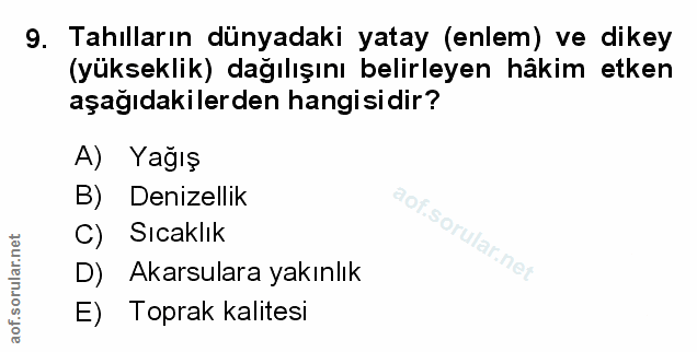 Soru 9