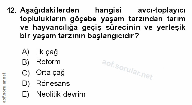 Soru 12