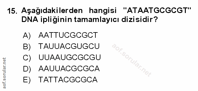 Soru 15